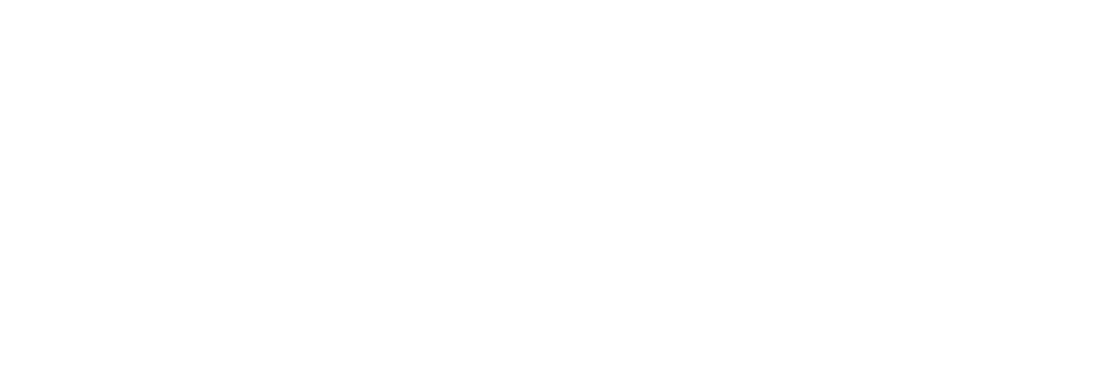 Bolt Express